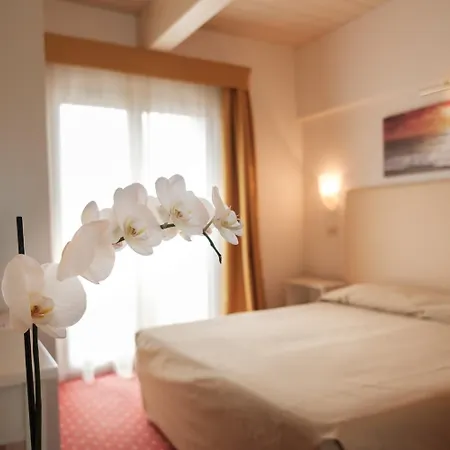 Alexander 3* Riccione