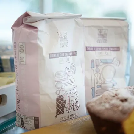 Hotel Alexander Riccione