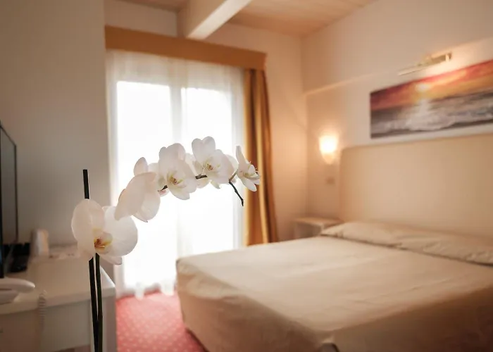 Alexander 3* Riccione