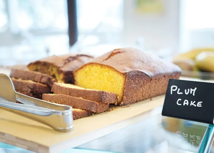 호텔 Alexander 리치오네